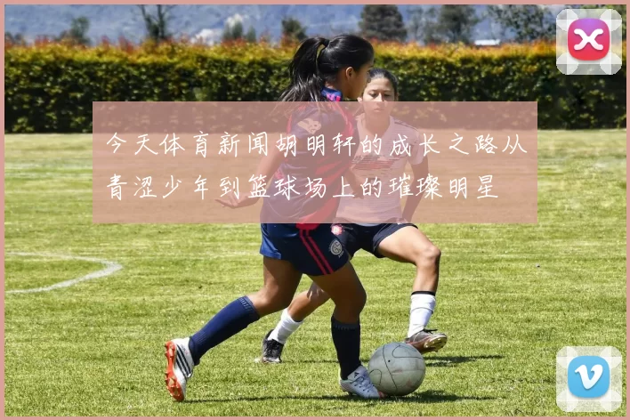 今天体育新闻胡明轩的成长之路从青涩少年到篮球场上的璀璨明星